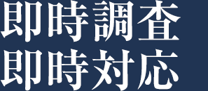 即時調査 即時対応